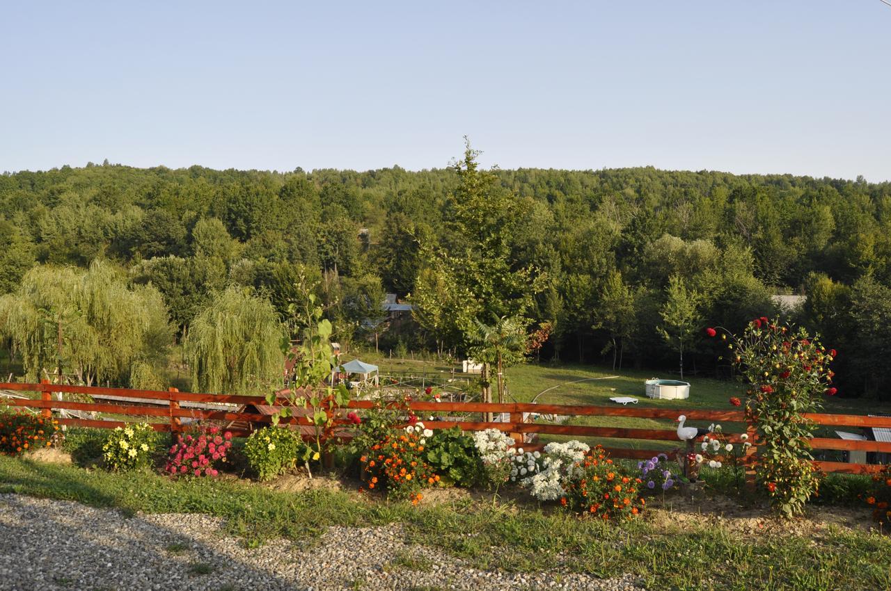 Floare De Maramures 2 Sighetu Marmaţiei Eksteriør bilde