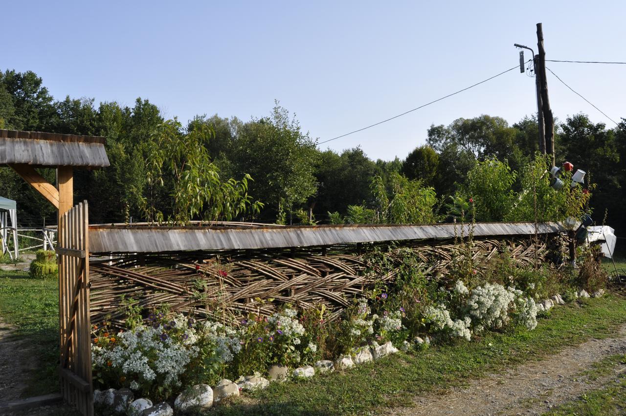 Floare De Maramures 2 Sighetu Marmaţiei Eksteriør bilde