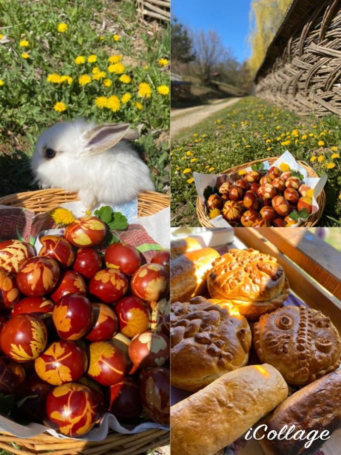 Floare De Maramures 2 Sighetu Marmaţiei Eksteriør bilde